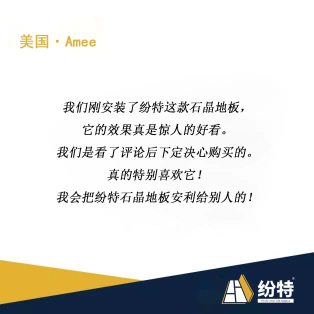 美國Amee