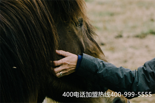 (陜西400電話號碼)(企業(yè)在400電話辦理中如何更滿意？)