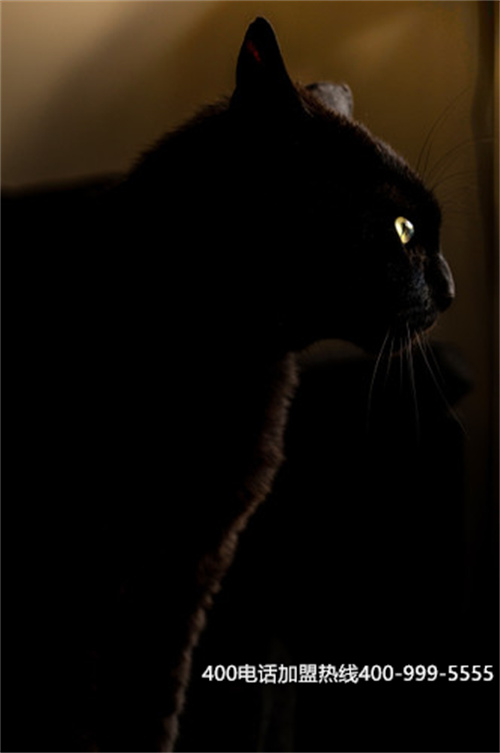 (400電話如何申請,需要什么資料)(400電話申請可以給企業(yè)帶來哪些好處？)