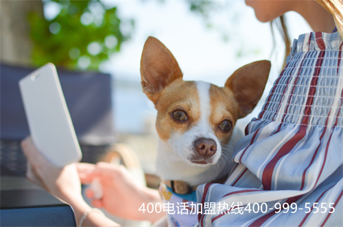 (400電話官方申請(qǐng))(400客服電話申請(qǐng))